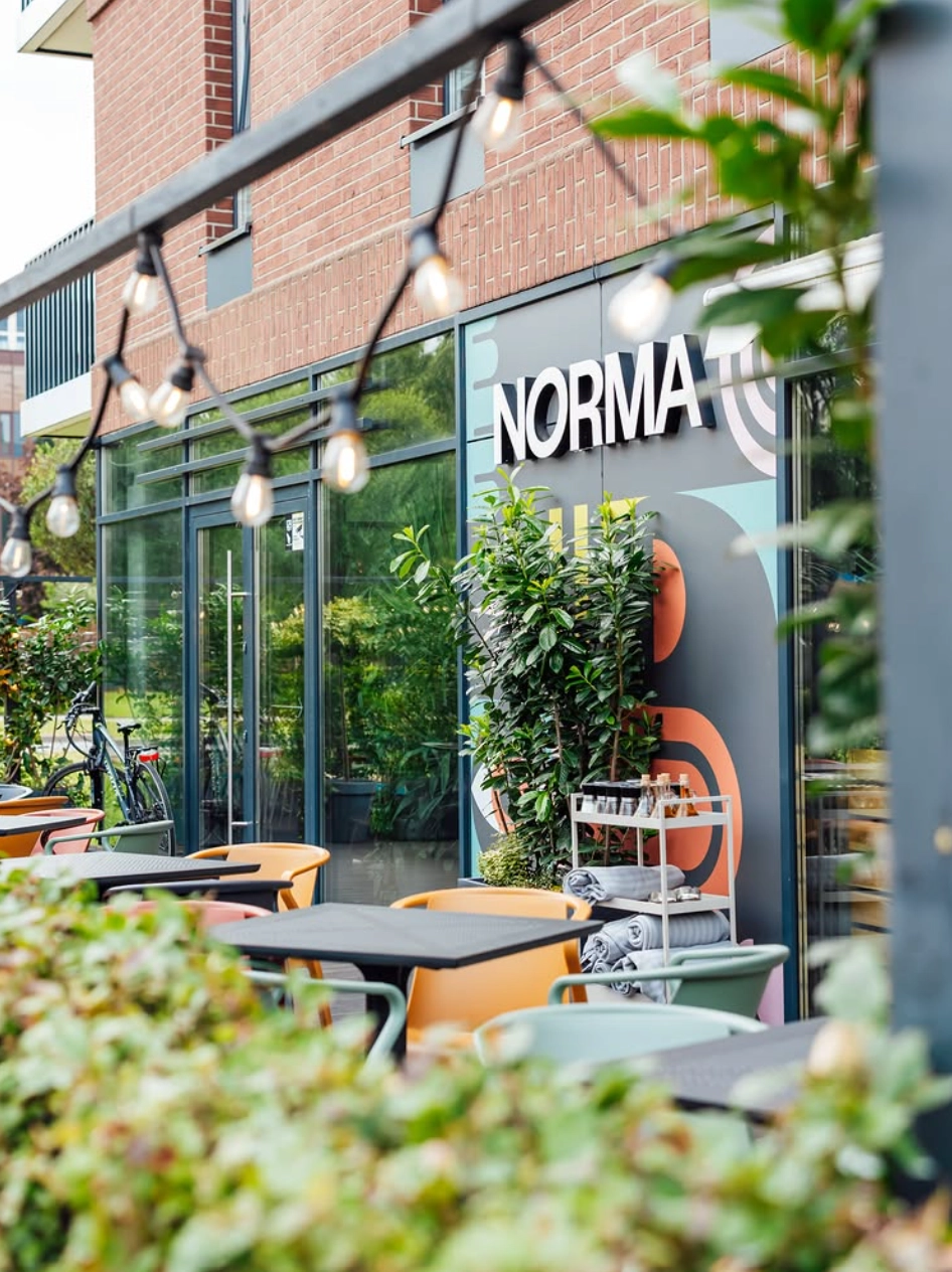 Norma – Kraków – zdjęcie 2